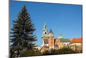 Royal Palace in Wawel in Krakow.-De Visu-Mounted Photographic Print