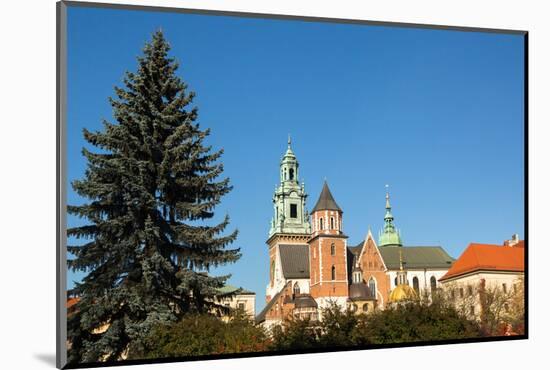 Royal Palace in Wawel in Krakow.-De Visu-Mounted Photographic Print