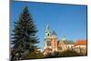 Royal Palace in Wawel in Krakow.-De Visu-Mounted Photographic Print