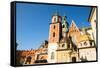 Royal Palace in Wawel, Krakow, Poland.-De Visu-Framed Stretched Canvas