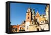 Royal Palace in Wawel, Krakow, Poland.-De Visu-Framed Stretched Canvas