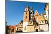 Royal Palace in Wawel, Krakow, Poland.-De Visu-Mounted Photographic Print