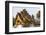 Royal Palace, Luang Prabang, Laos, Indochina, Southeast Asia, Asia-Jordan Banks-Framed Photographic Print