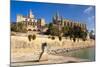 Royal Palace of La Almudaina and Cathedral of Santa Maria of Palma (La Seu)-Nico Tondini-Mounted Photographic Print