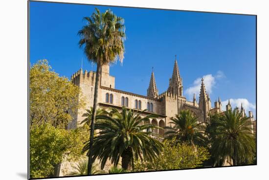 Royal Palace of La Almudaina and Cathedral, Palma, Majorca, Spain.-Nico Tondini-Mounted Photographic Print