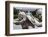 Royal Palace Seen from the Fountain of Venus and Adonis, Caserta, Campania, Italy, Europe-Oliviero Olivieri-Framed Photographic Print