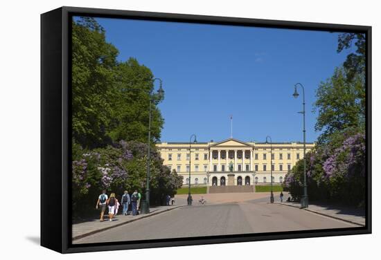 Royal Palace (Slottet), Oslo, Norway, Scandinavia, Europe-Doug Pearson-Framed Stretched Canvas