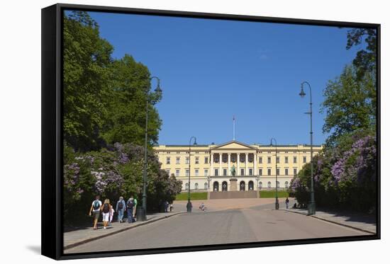 Royal Palace (Slottet), Oslo, Norway, Scandinavia, Europe-Doug Pearson-Framed Stretched Canvas
