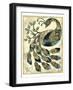 Royal Peacock II-Chariklia Zarris-Framed Art Print