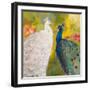 Royal Plumes-Robin Maria-Framed Art Print