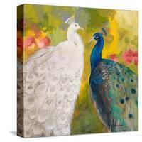 Royal Plumes-Robin Maria-Stretched Canvas