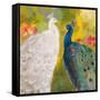 Royal Plumes-Robin Maria-Framed Stretched Canvas