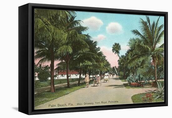 Royal Poinciana, Palm Beach, Florida-null-Framed Stretched Canvas