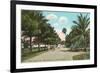 Royal Poinciana, Palm Beach, Florida-null-Framed Premium Giclee Print
