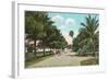 Royal Poinciana, Palm Beach, Florida-null-Framed Art Print