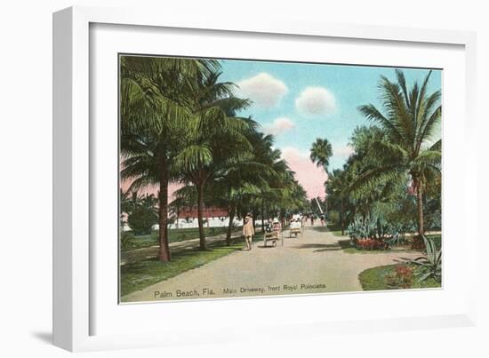 Royal Poinciana, Palm Beach, Florida-null-Framed Art Print