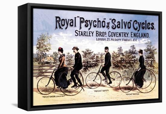 Royal Psycho and Salvo Cycles-null-Framed Stretched Canvas