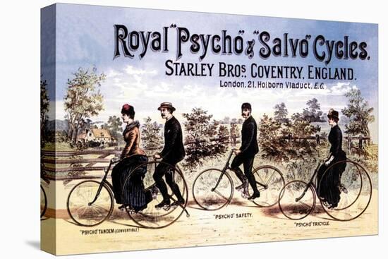 Royal Psycho and Salvo Cycles-null-Stretched Canvas