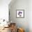 Royal Purple Gentian Trio-Albert Koetsier-Framed Art Print displayed on a wall