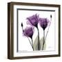 Royal Purple Gentian Trio-Albert Koetsier-Framed Art Print