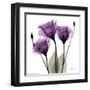 Royal Purple Gentian Trio-Albert Koetsier-Framed Art Print