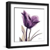 Royal Purple Parrot Tulip-Albert Koetsier-Framed Art Print