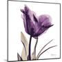 Royal Purple Parrot Tulip-Albert Koetsier-Mounted Art Print