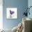 Royal Purple Parrot Tulip-Albert Koetsier-Mounted Giclee Print displayed on a wall