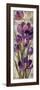 Royal Purple Tulips I Crop-null-Framed Premium Giclee Print