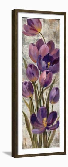 Royal Purple Tulips I Crop-null-Framed Premium Giclee Print