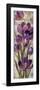 Royal Purple Tulips I Crop-null-Framed Premium Giclee Print