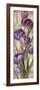 Royal Purple Tulips II Crop-null-Framed Art Print