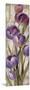 Royal Purple Tulips II Crop-null-Mounted Art Print