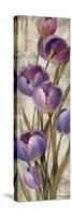 Royal Purple Tulips II Crop-null-Stretched Canvas