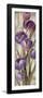 Royal Purple Tulips II Crop-null-Framed Art Print