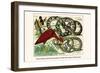 Royal Python, Reticulated Python, Scarlet Ibis, Rufous-Tailed Shama-Albertus Seba-Framed Art Print