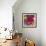 Royal Roses I-Sandra Jacobs-Framed Giclee Print displayed on a wall