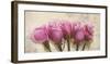 Royal Roses-Elena Dolci-Framed Art Print