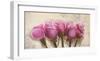 Royal Roses-Elena Dolci-Framed Art Print