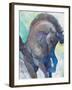 Royal Splendor-Albena Hristova-Framed Art Print