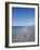 Royal Tern Birds on Beach, Sanibel Island, Gulf Coast, Florida-Robert Harding-Framed Photographic Print