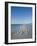 Royal Tern Birds on Beach, Sanibel Island, Gulf Coast, Florida-Robert Harding-Framed Photographic Print