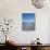 Royal Tern Birds on Beach, Sanibel Island, Gulf Coast, Florida-Robert Harding-Photographic Print displayed on a wall