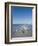 Royal Tern Birds on Beach, Sanibel Island, Gulf Coast, Florida-Robert Harding-Framed Premium Photographic Print