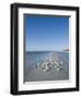 Royal Tern Birds on Beach, Sanibel Island, Gulf Coast, Florida-Robert Harding-Framed Premium Photographic Print