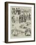 Royal Thames Yacht Club, Amateur Sailing Match-Alfred Courbould-Framed Giclee Print