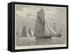 Royal Thames Yacht Club Match, 2 June, Rounding the Mouse Lightship-null-Framed Stretched Canvas