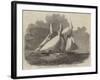 Royal Thames Yacht Club Schooner Match, the Wildfire and Vestal in the Lower Hope-Edwin Weedon-Framed Giclee Print