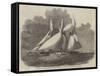 Royal Thames Yacht Club Schooner Match, the Wildfire and Vestal in the Lower Hope-Edwin Weedon-Framed Stretched Canvas