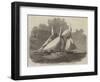 Royal Thames Yacht Club Schooner Match, the Wildfire and Vestal in the Lower Hope-Edwin Weedon-Framed Giclee Print